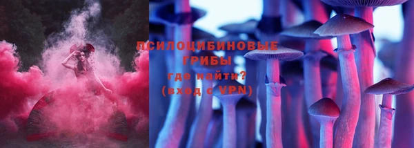 спайс Медвежьегорск