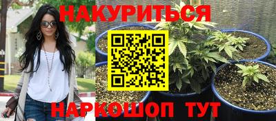 ПСИЛОЦИБИНОВЫЕ ГРИБЫ Дубна