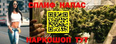 молекула духа Донецк