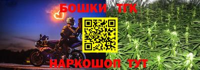 молекула духа Донецк