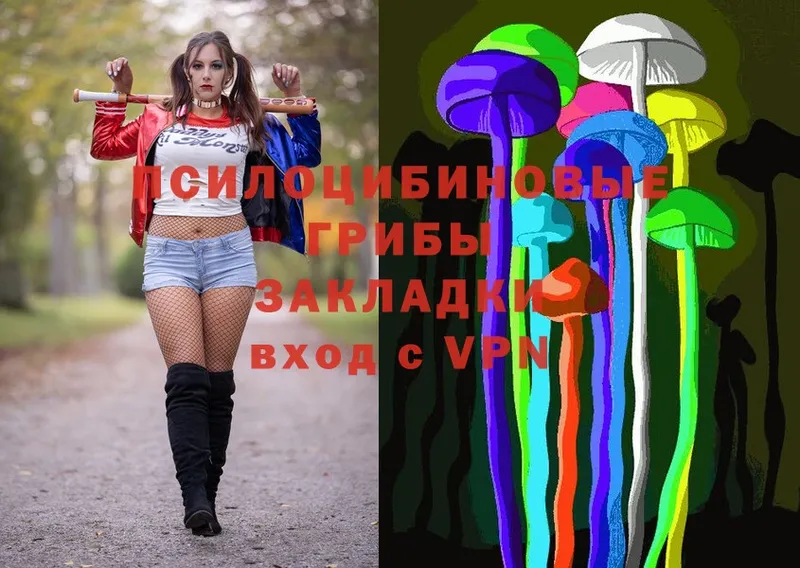 hydra ссылки  Черногорск  Псилоцибиновые грибы Magic Shrooms 