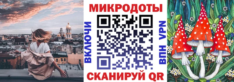 omg онион  Черногорск  Галлюциногенные грибы MAGIC MUSHROOMS 