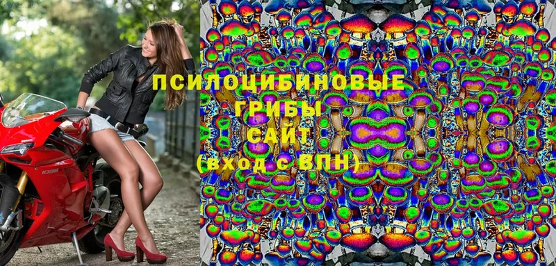 Псилоцибиновые грибы MAGIC MUSHROOMS Черногорск