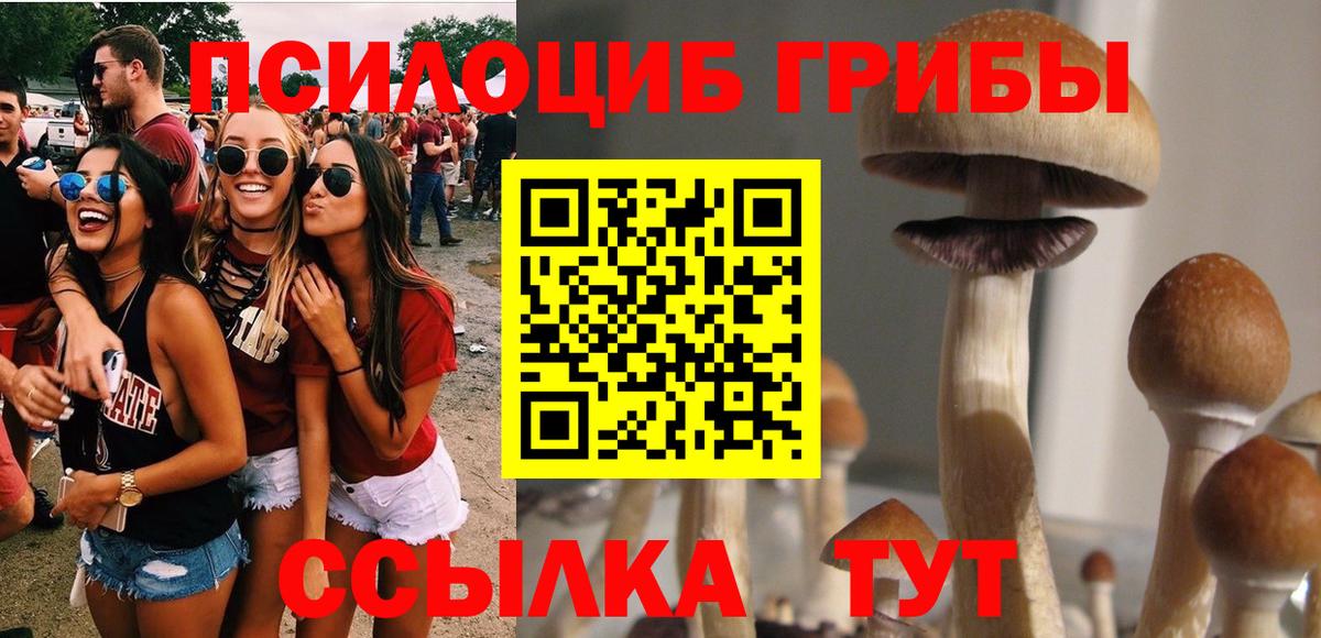 Галлюциногенные грибы GOLDEN TEACHER Черногорск