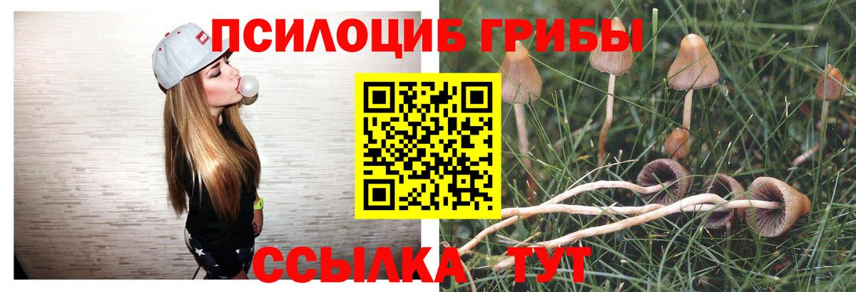 Псилоцибиновые грибы мицелий  Вход с VPN  Черногорск 